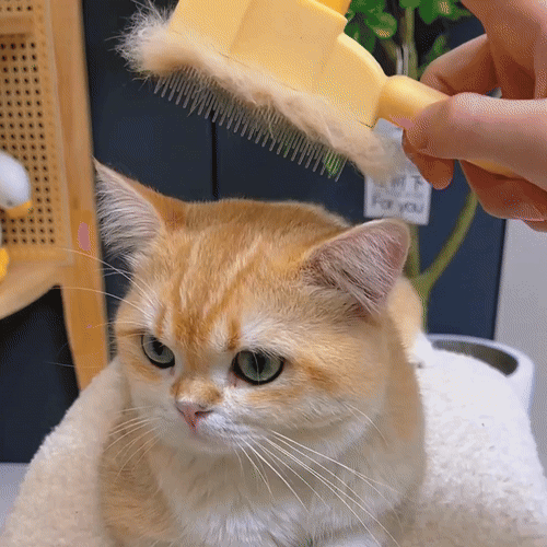 GroomZero™- Brosse Anti-Poils Pour Chat