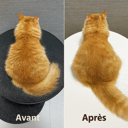 GroomZero™- Entretien express - Ma boutique